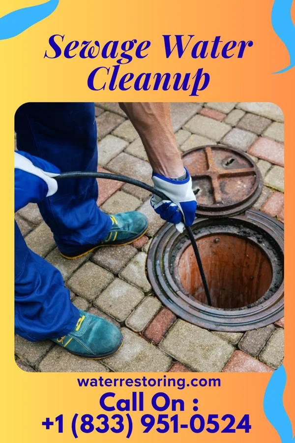 Sewage Water Cleanup in Johnson Creek, WI
