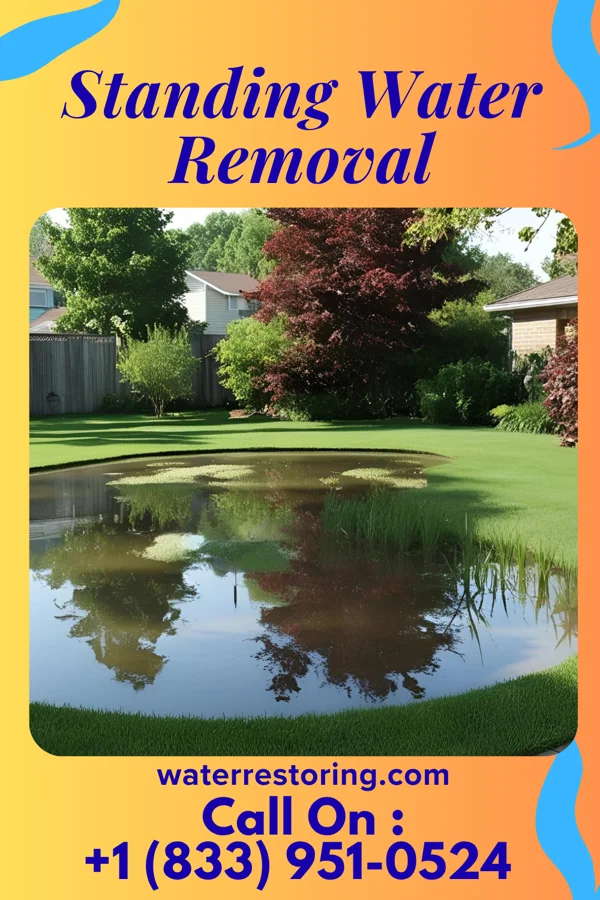 Standing Water Removal in Johnson Creek, WI